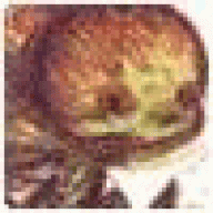 RClyn