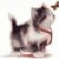 mokappear