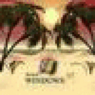 6monclersqdh