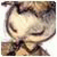 eluncam
