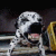 KoleosAW