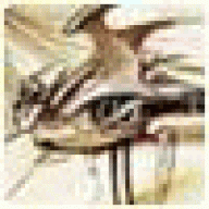 paiduadilky