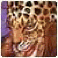 Frergeloofs