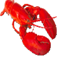 SpigneeCili