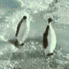 tumblr_ljk8hdbaXJ1qh7y3w.gif