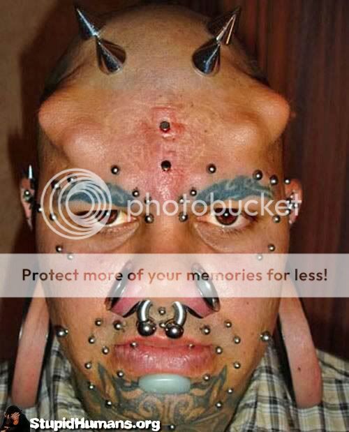 -stupid-human-1301166139.jpg