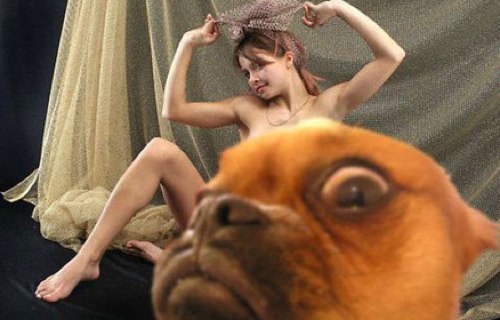 tumblr_livxg57Q5K1qf9kg0o1_500.jpg