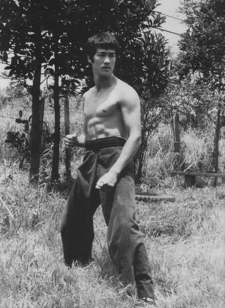 T-H-E-MASTER-bruce-lee-26776612-439-600.jpg