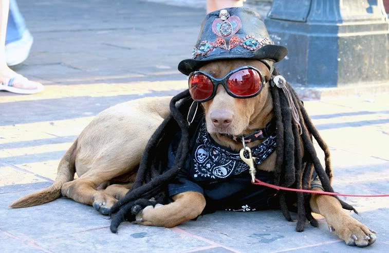RastafarianIMG_0651.jpg