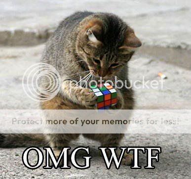 kitteh.jpg