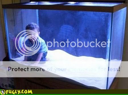 aquarium-kid.jpg