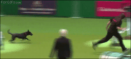 slide_333977_3339591_free.gif