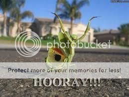 imagesCAS413FL.jpg