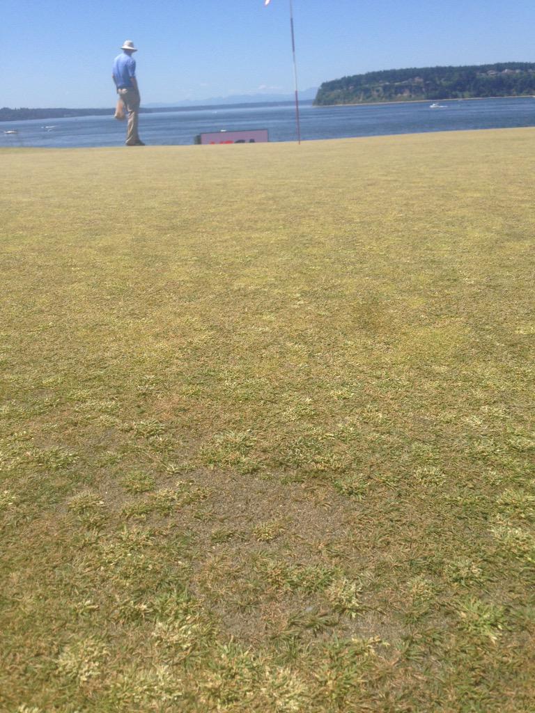 CHfXtQuVAAAuZ0h.jpg:large