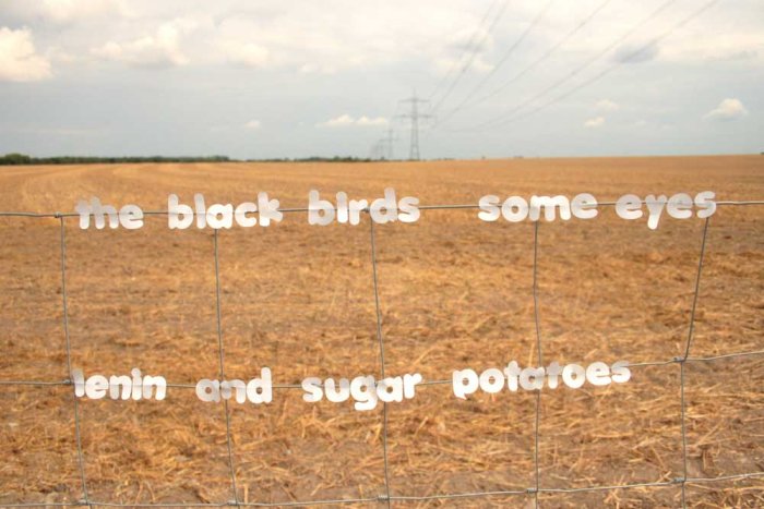 minelli_theblackbirds.jpg